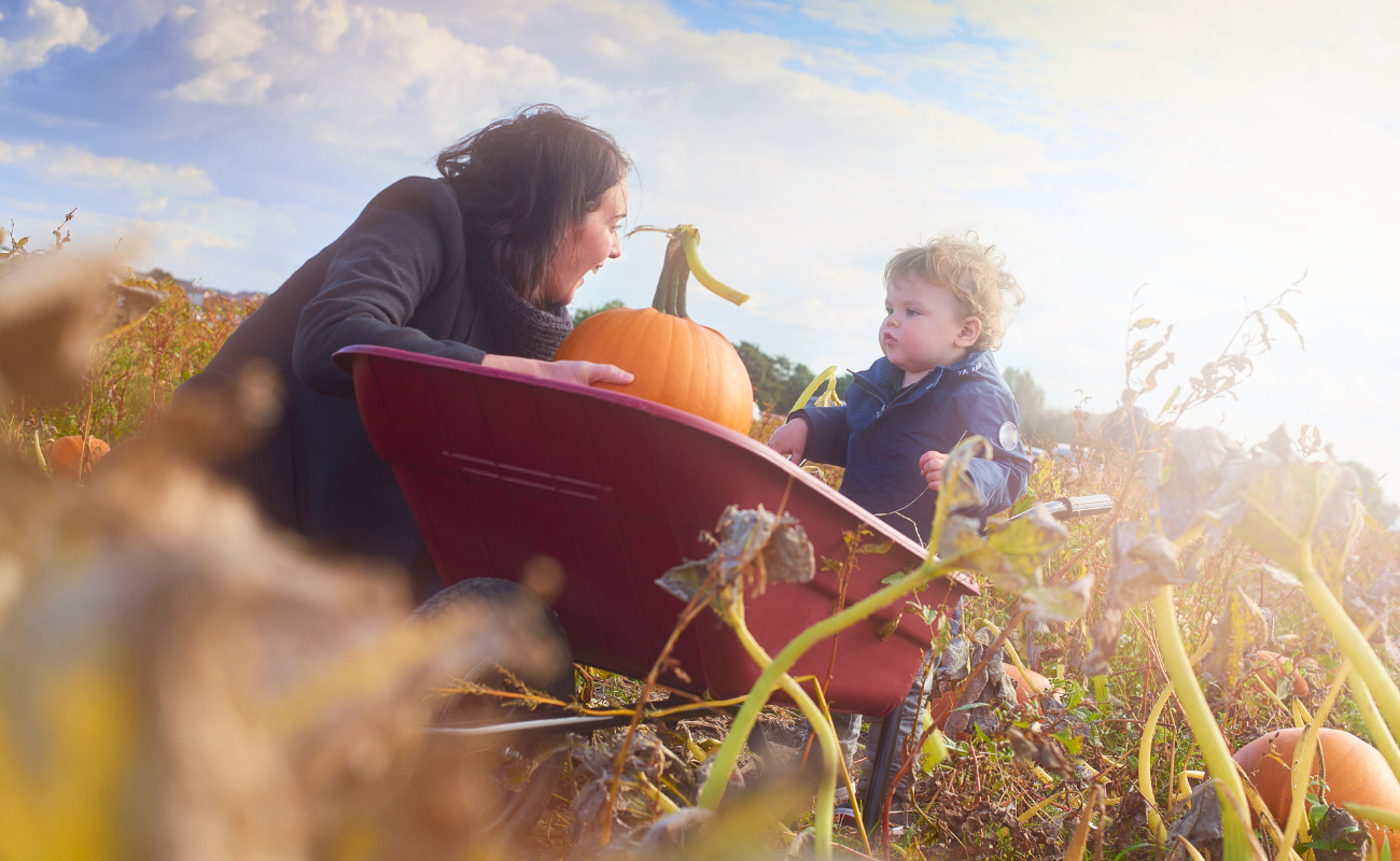 October Half Term activities on the Suffolk Coast 2026