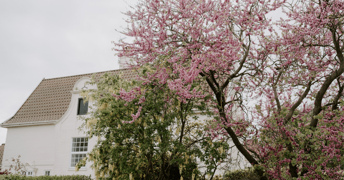 Let your property in Suffolk with Durrants Holiday Cottages, Southwold