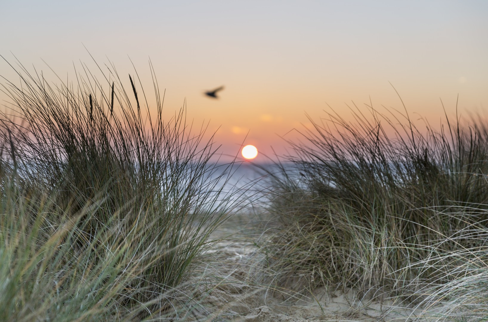 Southwold beach in Suffolk.